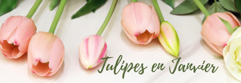 Tulipes en Janvier