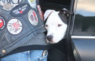 Les Motards Du Monde