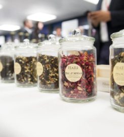 TropicArt'Traction Sàrl